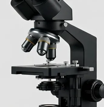 Detail view of the Focara LabBino 40x–2000x Binocular Compound Microscope