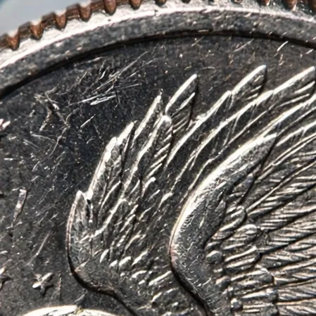 Extreme close-up of coin engraving detail under magnification
